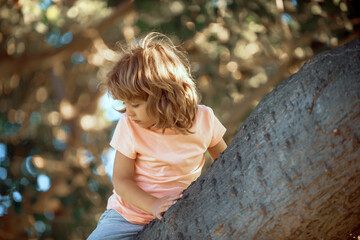 Outdoors portrait of cute preschool boy Child climb a tree. Kids climbing. Active kids playing outdoors.