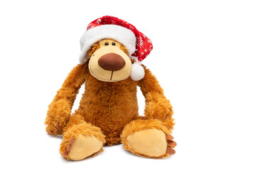 Teddy bear in a Christmas hat on a white background.