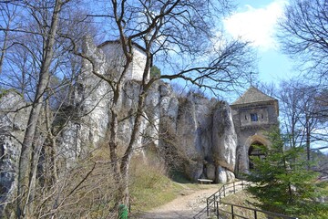 Zamek w Ojcowie – ruiny zamku na szlaku Orlich Gniazd, Ojcowski Park Narodowy © Albin Marciniak