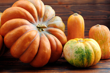 Colorful pumpkins on brown wooden background front view