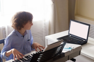 Education online. Learning for music at home.