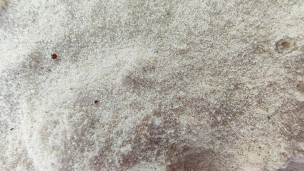 White sand close up. Koh Rong island. Cambodia. South-East Asia