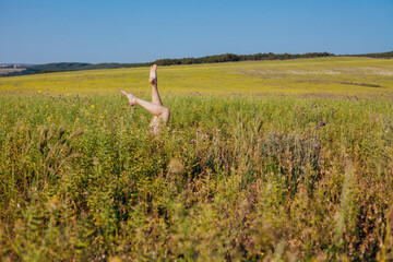 beautiful woman's feet in a field of tall grass