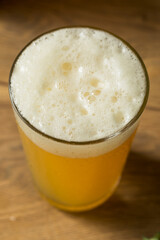 Boozy Refreshing Hoppy IPA Beer
