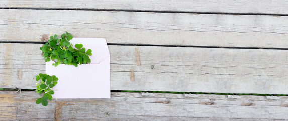 The concept of communication letters, envelope with clover, Postcard