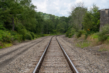 Fototapeta na wymiar Railroad Tracks in the Forest