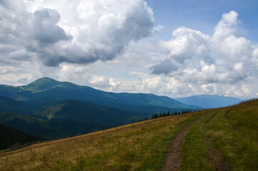 Fototapeta premium Beautiful landscape with forested hills and grassy meadow, colorful summer in the Carpathian mountains 