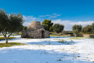 Beautiful trullo with olive grove in the snow, Manduria, Salento, apulian landscape after a...