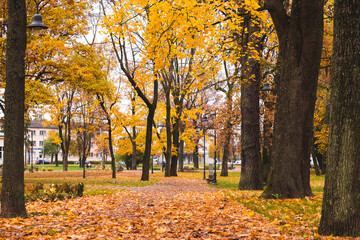 autumn in the city park