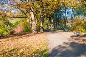 Ein Herbsttag im Hermann  -Löns-Park  Hannover