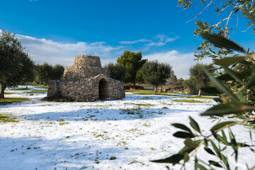 Beautiful trullo with olive grove in the snow, Manduria, Salento, apulian landscape after a...
