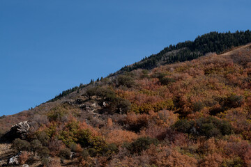 Fototapeta na wymiar Autumn Mountainside