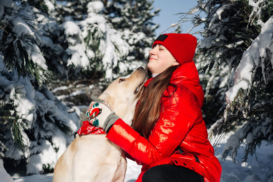Girl wearing red jacket and her labrador retriever hug and have fun at a winter snowy park. Owner and her dog sit among fir trees in the forest. Friendship, pets and holidays concept.
