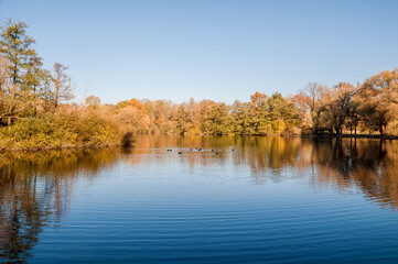 Fototapeta premium Ein Herbsttag im Hermann -Löns-Park Hannover