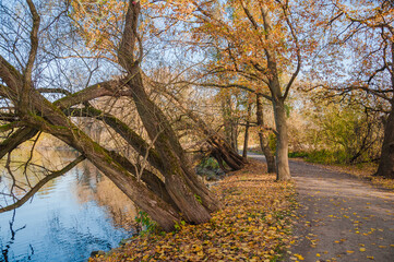Ein Herbsttag im Hermann  -Löns-Park  Hannover