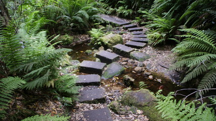 stone path through the water