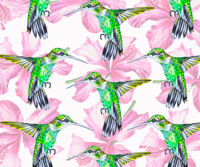 On a watercolor background of pink flowers, tropical bird hummingbird. Hand drawn pattern.