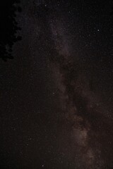Milky Way sky camping in forest