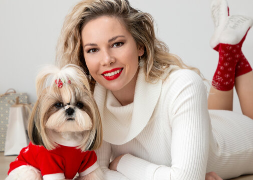 Lovely Girl With A Well-groomed And Nicely Dressed Shih Tzu Puppy For Christmas