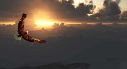 Fototapeta na wymiar Eagle in Flight Above Dramatic Cloudscape