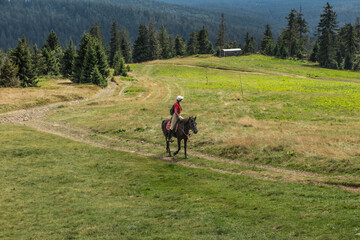 Fototapeta premium Hala Rysianka, Beskid Zywiecki, Poland, September 4, 2020: Mountain horseback riding in Beskid Zywiecki near the Hala Rysianka