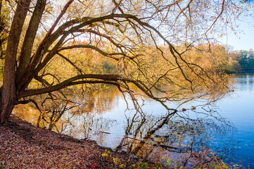 Ein Herbsttag im Hermann  -Löns-Park  Hannover