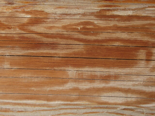 Yellow Wood Texture Background, Horizontal Closeup