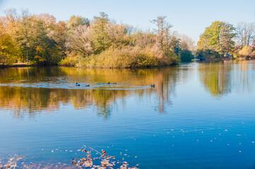Ein Herbsttag im Hermann  -Löns-Park  Hannover