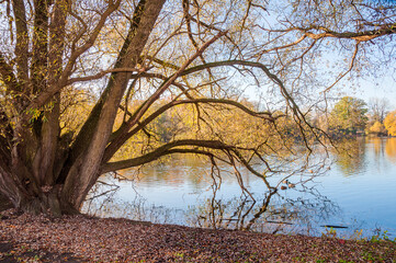 Ein Herbsttag im Hermann  -L&ouml;ns-Park  Hannover