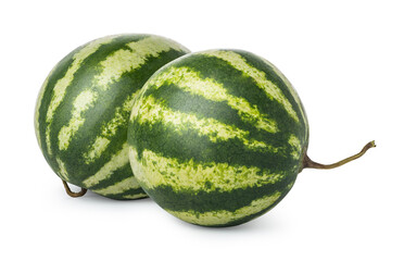 Two ripe watermelons
