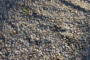 Gravier entre ombre et soleil, ville de Corbas, département du Rhône, France