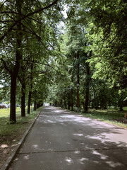 alley in the Russian park 