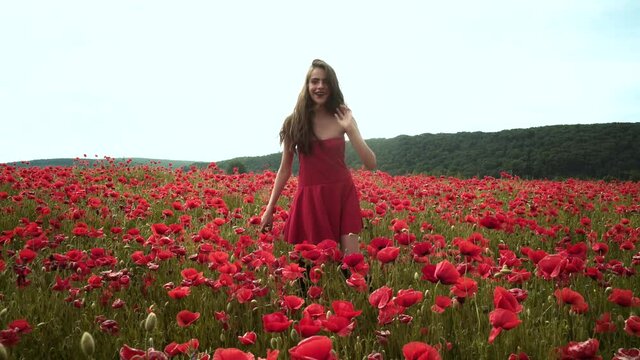 Spring woman. Attractive girl in flowers poppy feild. Freedom on nature. Young woman on Spring meadow. Lovely young romantic model move around on poppies background.