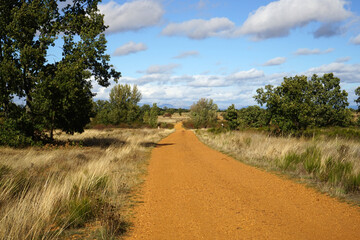 Jakobsweg südwestlich von Leon,  Heidelandschaft, Spanien