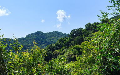 Green mountain view, natural island