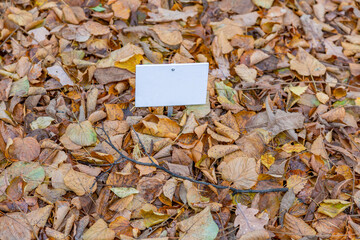 Iron street sign without signs and symbols during the day