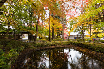 日本の世界遺産　岩手中尊寺紅葉の峯薬師堂池