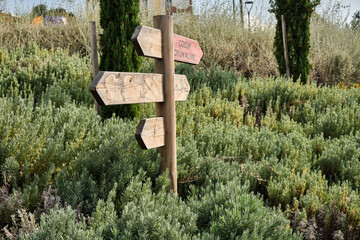 wooden sign in the forest
