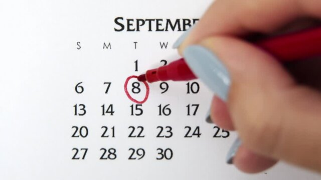 Female hand circle day in calendar date with a red marker. Business Basics Wall Calendar Planner and Organizer. September 8th
