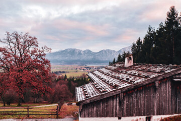 winter harmony in the mountains 