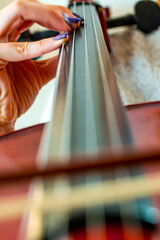 Fototapeta na wymiar Close up of bridge, violin part . Closeup of part string instrument cello with snares and bridge. 