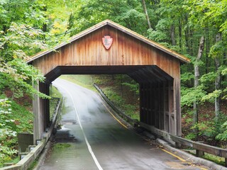 Covered Bridge Surrounded by Lush Green Foliage