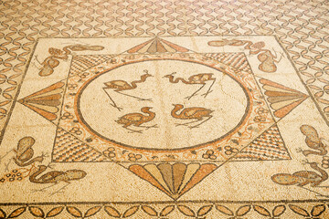 En Gedi Ancient Synagogue floor mosaic