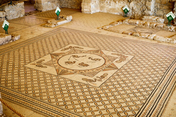 En Gedi Ancient Synagogue floor mosaic