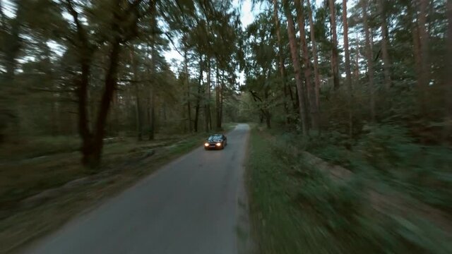 Black sport automobile with headlights on speeds along empty narrow rural road across old pine forest in autumn late evening first point view cinematic aerial shot from fpv racing drone.