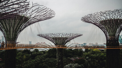 Garden by the bay singapore trees
