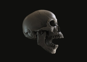 Human skull in profile on a black background. Print, material for design. T-shirt, wallpaper and background concept. The concept of death, horror. Spooky Halloween symbol. 3D illustration.