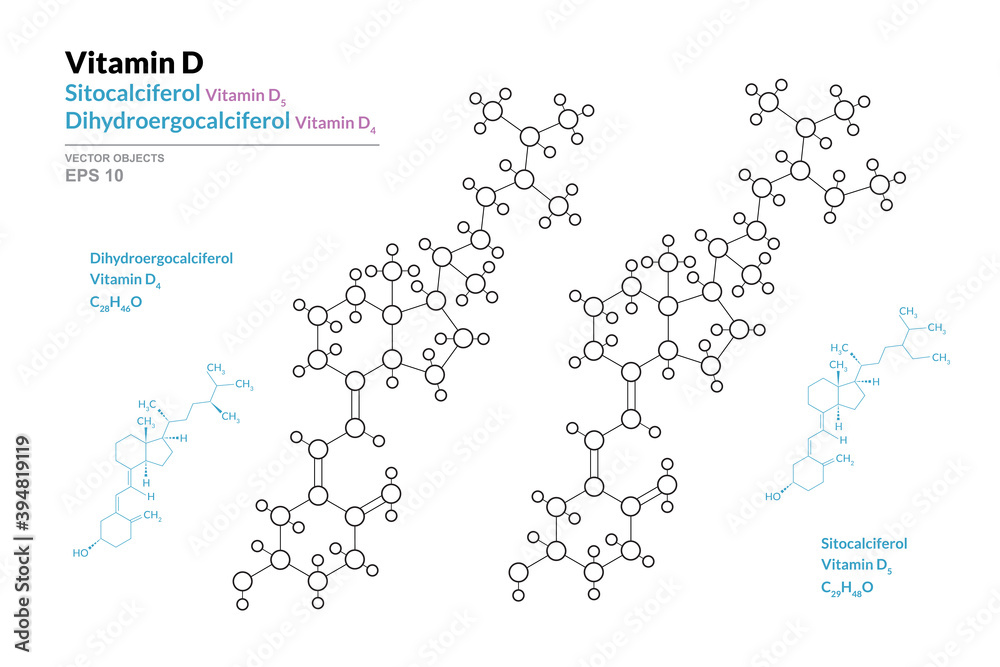 Poster Vitamin D4, D5. Dihydroergocalciferol and Sitocalciferol. Structural Chemical Formula and Line Model of Molecule. Vector Illustration