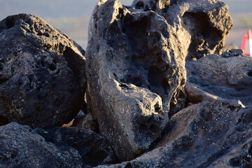 Canary Island and its variety of things and forms
