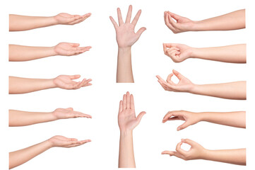 Set of woman hands  gesturing
isolated on white background.